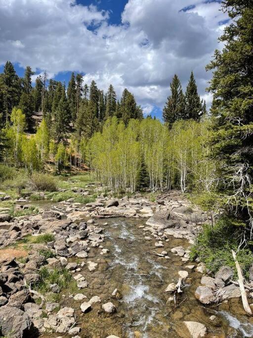 Canyon Country Chalet Duck Creek Village 外观 照片